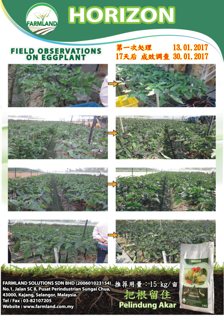 Disease Control Across Crops 1