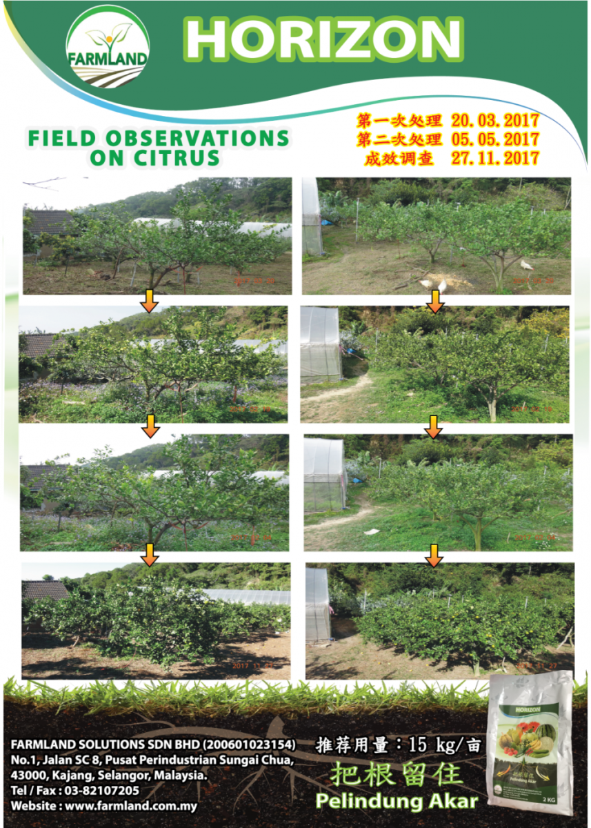 Disease Control Across Crops 2