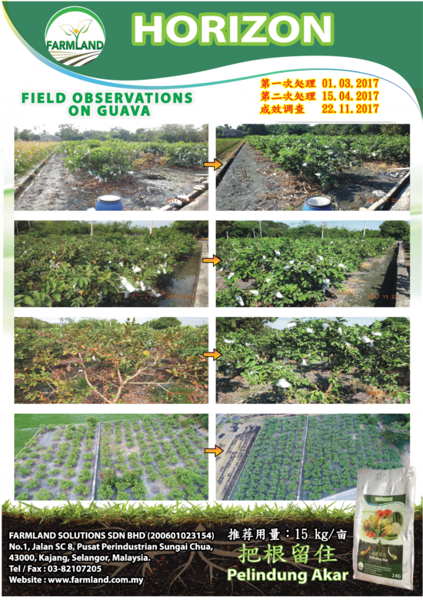 Disease Control Across Crops 3