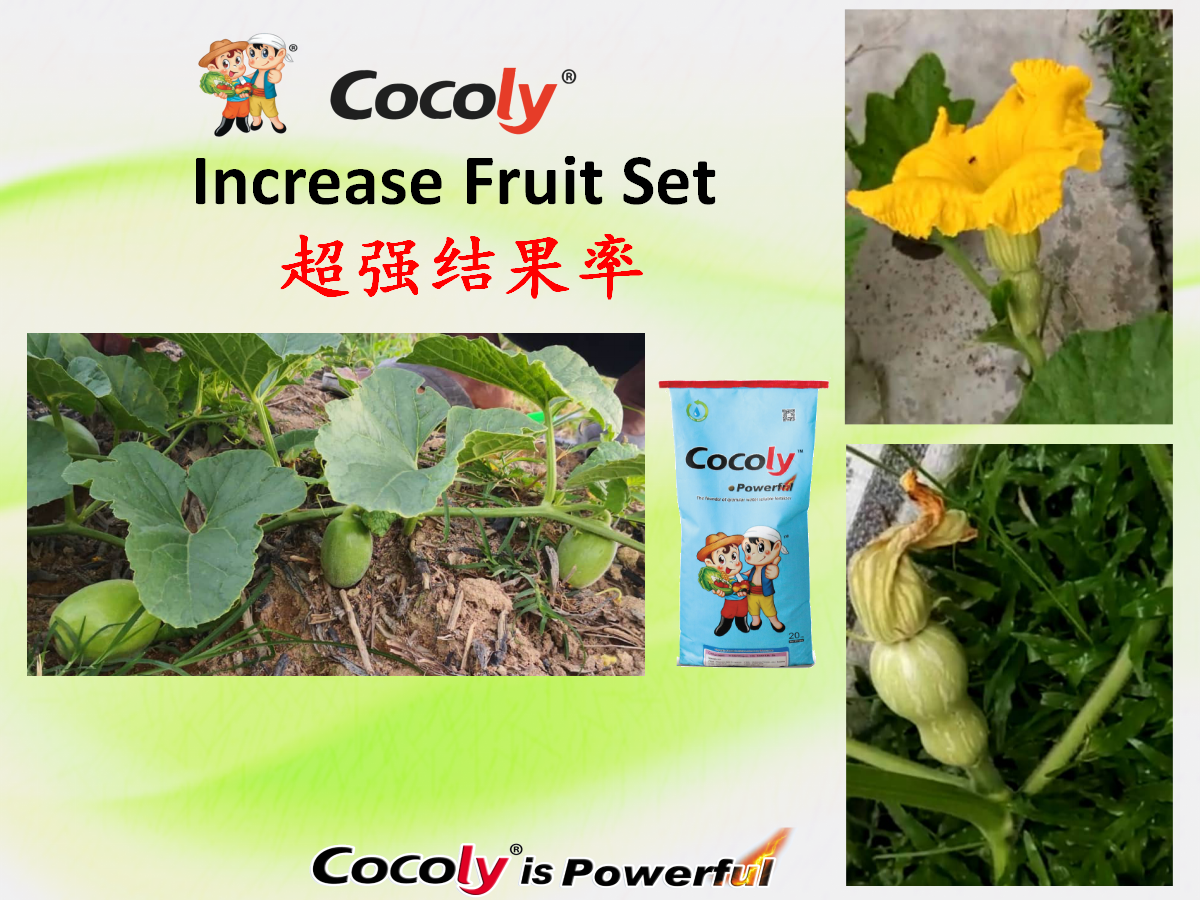 Flowering & Fruiting Performance 1