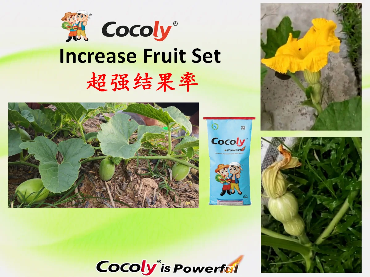 Flowering & Fruiting Performance 1