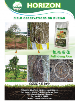Improvement of Phytophthora-Affected Areas