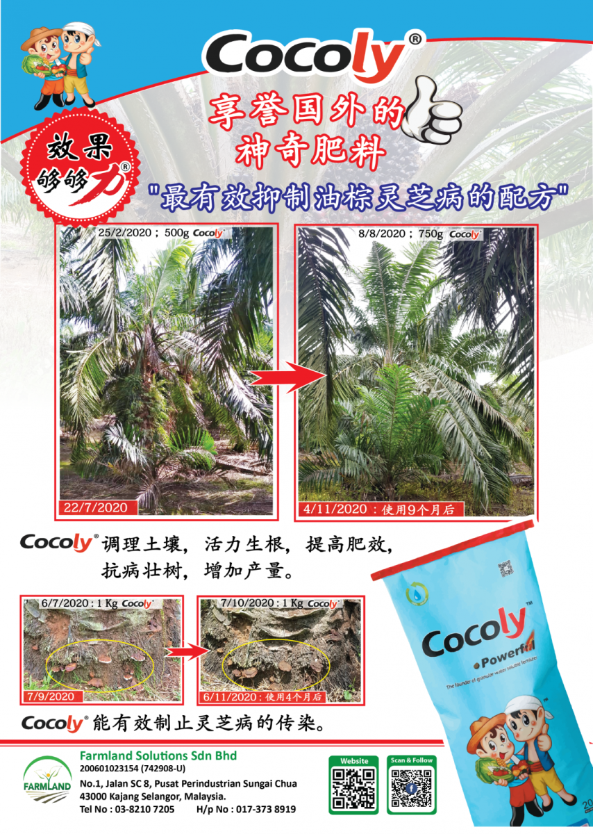 Stronger Resistance to Ganoderma