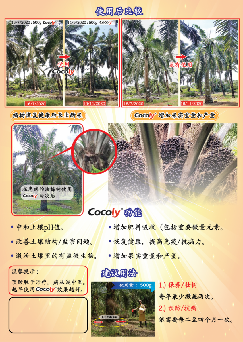 Increased Fruit Weight and Yield