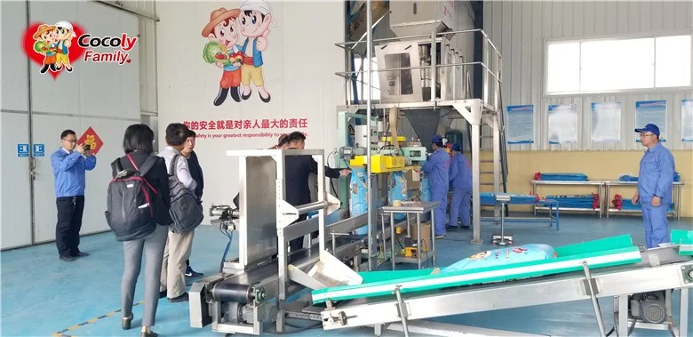 Visit to Shouguang Expo & Cocoly HQ 2