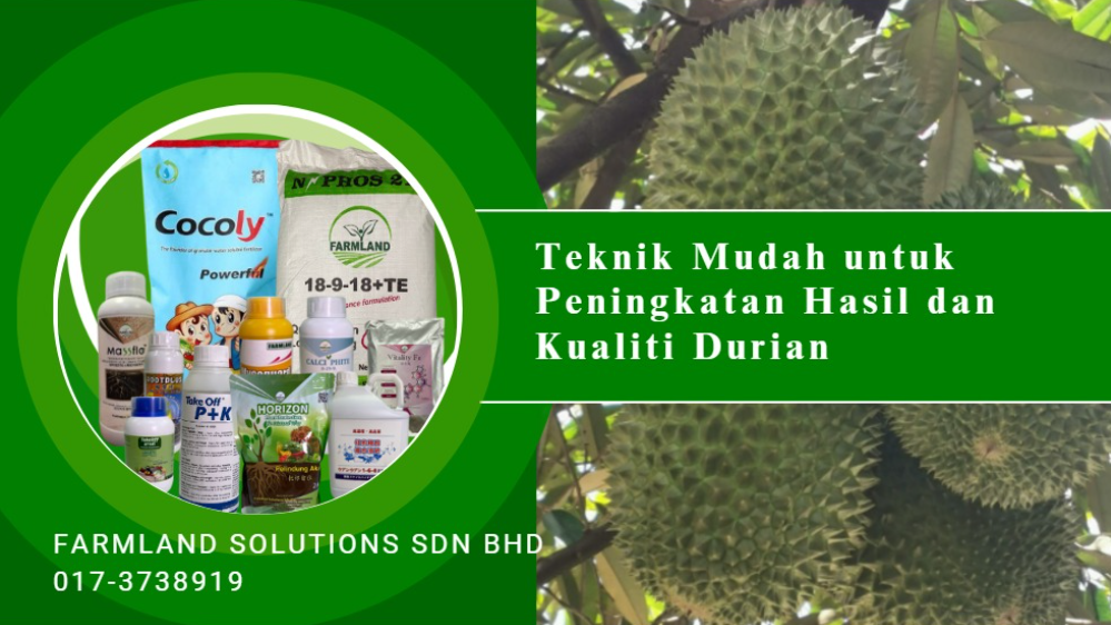 Oct | Durian Yield & Quality Seminars with MaSDa 1