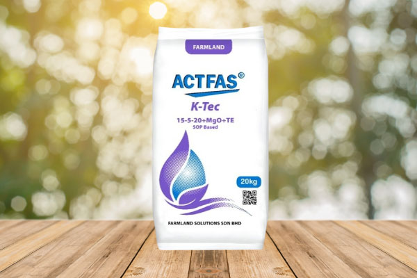 ACTFAS K-Tec