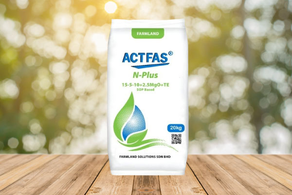 ACTFAS N-Plus