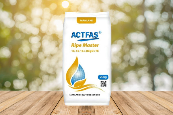 ACTFAS Ripe Master