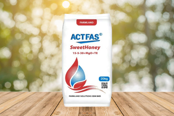 ACTFAS SweetHoney
