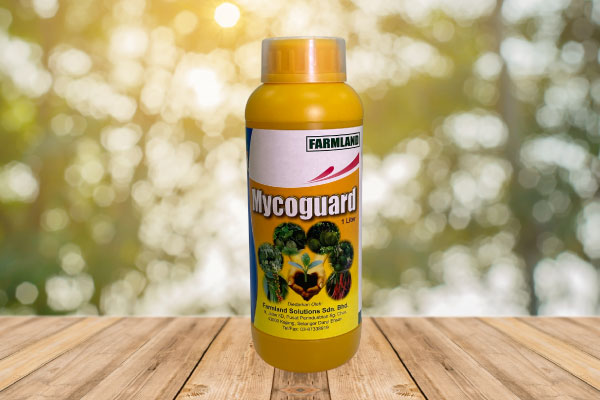 Mycoguard