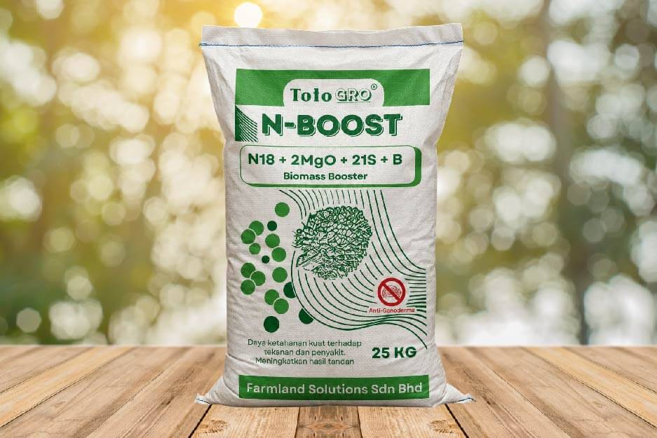 N-Boost