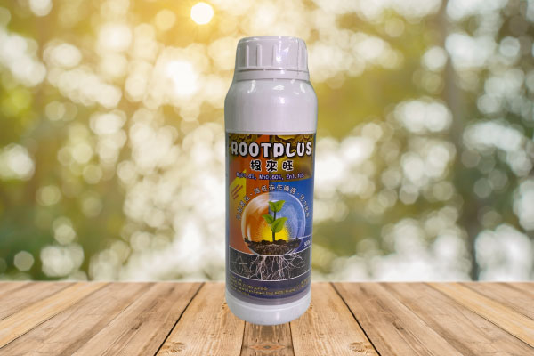 RootPlus
