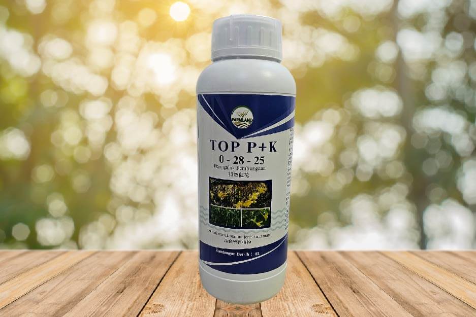 Top P+K